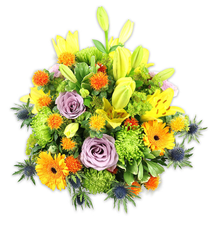 A richly hued, densely assembled floral piece presented on a white field so the colours and textures can be read clearly: radiant yellow Asiatic lilies provide vertical drama with a mix of open, speckled blooms and smooth, pointed buds; gentle lavender roses offer a cool, romantic heart; and bold orange Gerberas send warm radiance outward with their broad, flat petals. Lime-green cushion chrysanthemums create a voluptuous, textural base that cushions the arrangement, while small, rounded spiky orbs in orange and deep yellow scatter like confetti through the mass for playful contrast. Several indigo-tinged sea thistles (Eryngium) project from lower angles, their metallic-blue, star-shaped heads and spiky bracts lending an architectural, almost coastal edge to the otherwise sunlit palette. The foliage includes glossy, sword-like lily leaves and varied green fillers that form layered planes and guide the eye through the bouquet, reinforcing a sense of abundance and thoughtful proportion. Bathed in soft daylight, the piece reads as celebratory yet composed, fragrance-light with a hint of sweet rose and clean green notes. As a creation that would suit occasions from cheerful anniversaries to heartfelt get-well wishes, it would sit gracefully on a mantel near Kent House station or as a centrepiece for a small gathering at St. George's Road; the design balances contemporary flair with traditional floristry technique, demonstrating experienced hands at work and offering a versatile, uplifting floral statement for the Beckenham community.